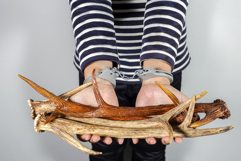 waste collection office waste